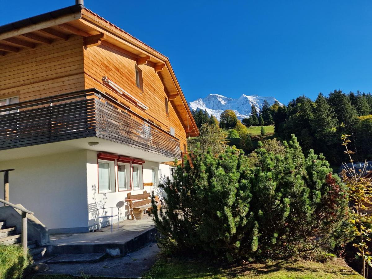 Chalet Viola - Verena'S Loft Apartment Wengen Exterior photo