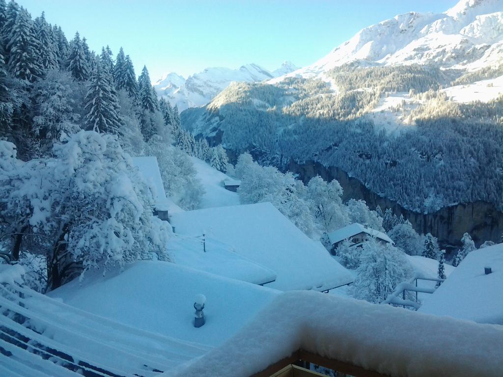 Chalet Viola - Verena'S Loft Apartment Wengen Exterior photo