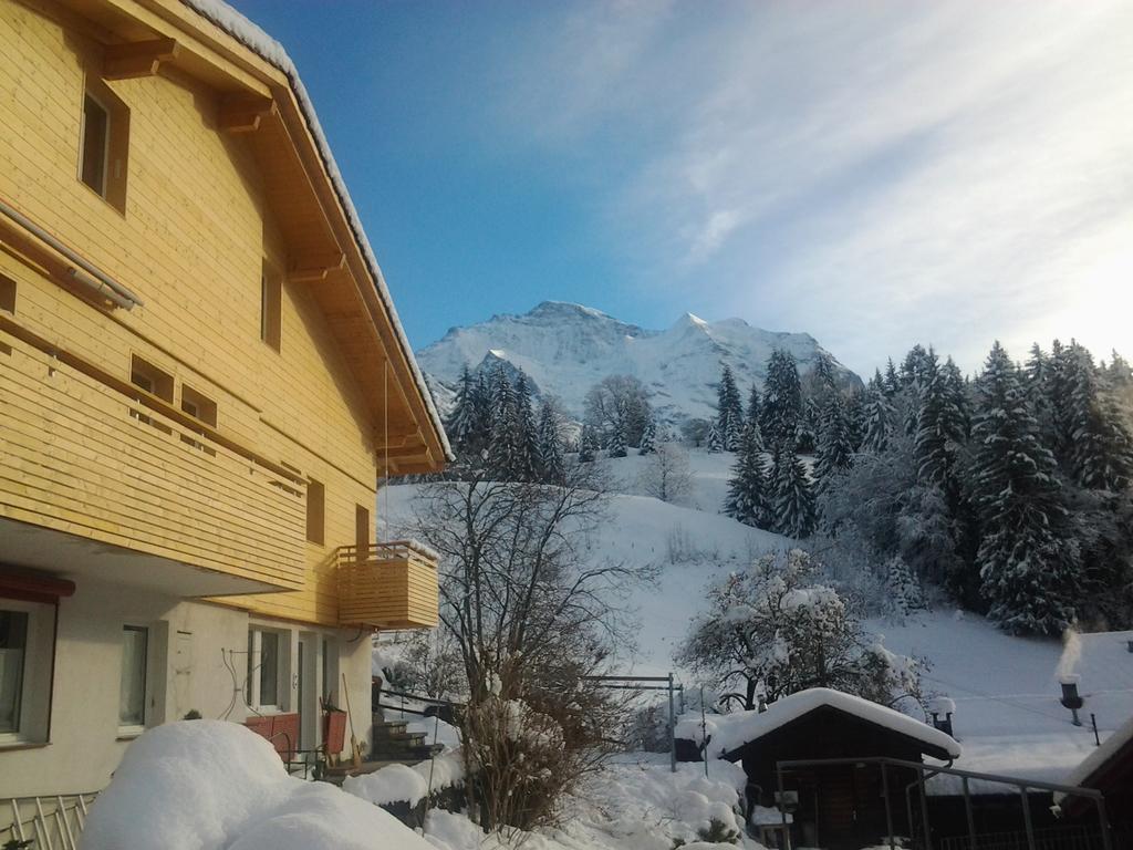 Chalet Viola - Verena'S Loft Apartment Wengen Exterior photo